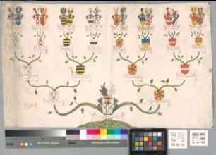 Proband: Schwansbell, Elisabeth Dorothea Amalia Charlotta von; Vater: Schwansbell, Adolph Werner von; Mutter: Vaerst, Maria Sophia Wilhelmina von: Herdecke, Stift
