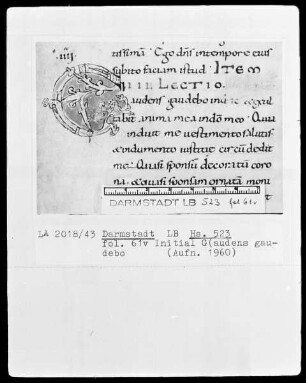 Paulus Diaconus, Homiliarium (Winterteil) und andere — Initiale G(audens gaudebo), Folio 61verso