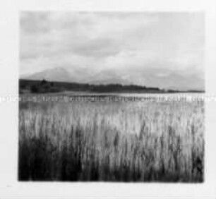 Voralpenlandschaft im Allgäu