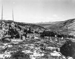 Schneebedeckte Gebirgslandschaft : Blick vom Hagerman Pass auf die bewachsene Trogschulter. Rechts das South Fork Valley.