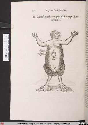 Monstrum hermaphroditicum pedibus aquilinis.