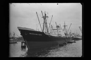 Magdalena Reith (1959), Orion, Hamburg