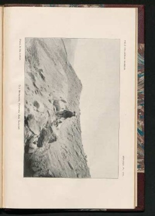 Pl. XVII. - Old Moraines, Porfirio Díaz Glacier. : Photo. by the Author.