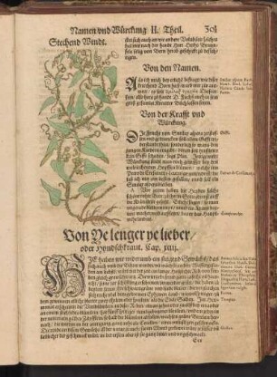 Von Ye lenger ye lieber, oder Hyndschkraut, Cap. XCIII