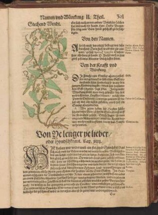 Von Ye lenger ye lieber, oder Hyndschkraut, Cap. XCIII