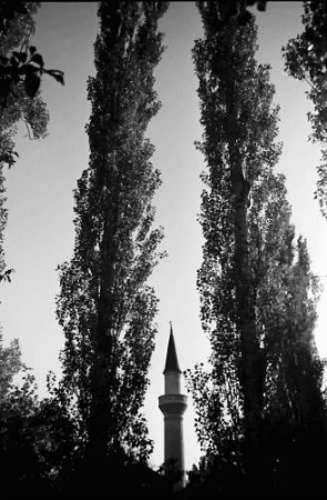Bukarest: Minarett zwischen Pappeln