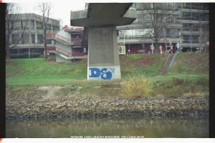 DS