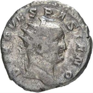 Divi: Divus Vespasianus