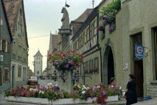 Mainbernheim: Brunnen, Hintergrund Stadttor
