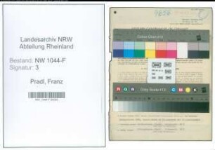 Entnazifizierung Franz Pradl , geb. 19.09.1901 (Steuersekretaer)