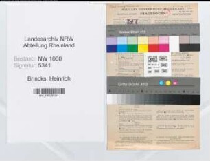 Entnazifizierung Heinrich Brincks, geb. 01.09.1902 (Kaufmann)