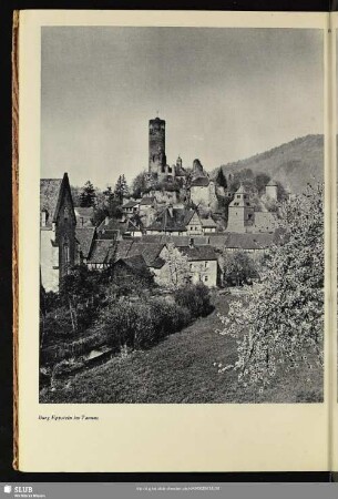 Burg Eppstein im Taunus