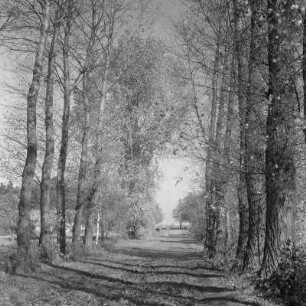 Landschaftsbild. Märkische Landschaft. : Wobraz krajiny. Markowska krajina.