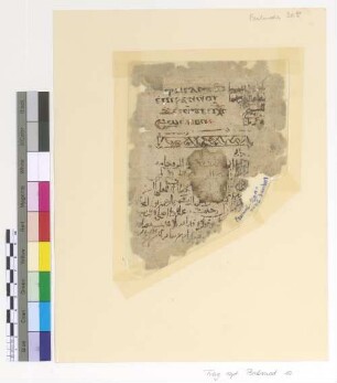 [Theotokia] : Fragm. copt. Pischoi Psalmod. 20