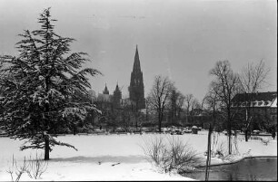 Freiburg: Blick über verschneiten Stadtgarten auf das Münster