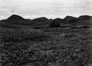 Hochfläche auf Sumatra : Durch Erosion zerstörte Hochfläche. Nahezu vollständig von Gras bewachsen.