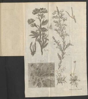 Fig. 87. - Fig. 91.