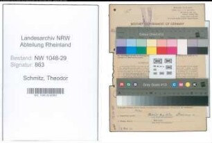 Entnazifizierung Theodor Schmitz , geb. 02.08.1895 (Beamter)