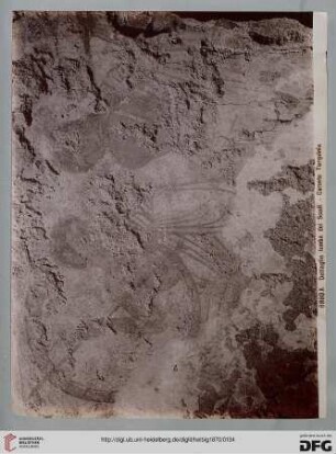 6980A Dettaglio Tomba dei Scudi - Corneto Tarquinia