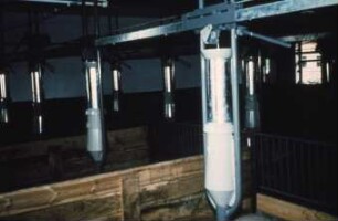 Fotografie: Fütterungstechnik, Mastschwein, Trockenfütterungsanlage, Trockenfütterung, Dosiereinrichtung