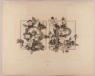XIV. Initiale O P mit Rosen - Pfingstrosen