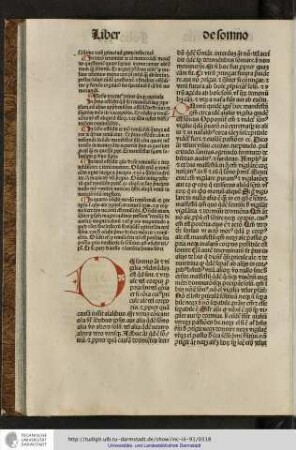 De somno autem et vigilia considerandum est quod sint et utrum anime vel corporis propria sint...