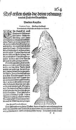 Deß ersten theils die dritte ordnung/ von den Flach oder Breytfischen