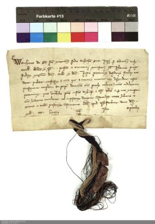 Indulgenzbrief Werners [von Eppstein], Erzbischof von Mainz, für das Stift Johannesberg