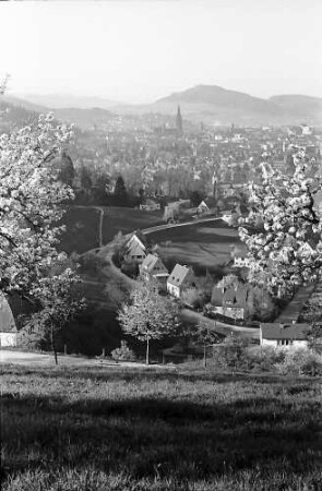 Blick auf Freiburg mit Schönberg durch die Blüten der Eichhalde