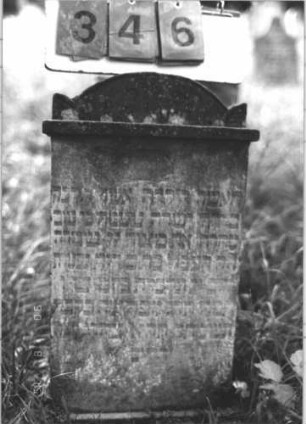 Grabstein 346 (Index: 100106767) Material: Sandstein Zustand: stark verwittert, annähernd unleserlich Maße HxBxT: 73x37x12 cm Beschreibung: Stele mit Abdeckplatte und eingezogenem Segmentbogenaufsatz mit Seitenakroteren: Grabstein 346