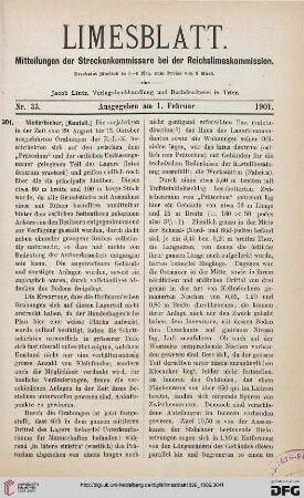 Nr. 33 (1. Feburar 1901)