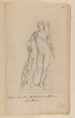 Bacchus Borghese [nach Tafel 46 von François Perriers "Icones et Segmenta Nobilium Signorum et Statuarum..." (1638)]