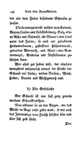 h) Die Gelbsucht