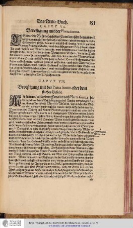 Caput VII. Bevestigung mit der Piatta fronte oder dem flachen Gesichte