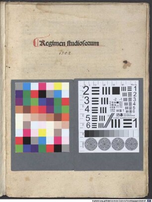 Regimen studiosorum