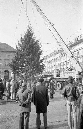 Christbäume im Stadtgebiet