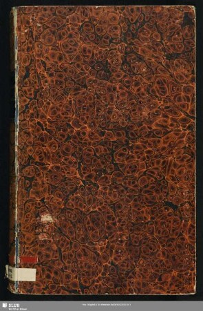 Chronicon Erfordianum Sampetrinum de Anno 1078 usque ad Annum 1355 - Mscr.Dresd.Q.132