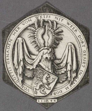 Wappenschild mit einem Löwen