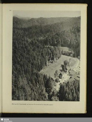 Blick auf die Niedermühle im hinteren Kirnitzschtal bei Hinterhermsdorf