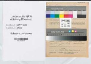 Entnazifizierung Johannes Schneck, geb. 02.06.1904 ()