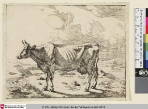 [Un vache debout, vue de profil, et dirigée vers la gauche; Stehende Kuh in karger Landschaft vor Wolken]