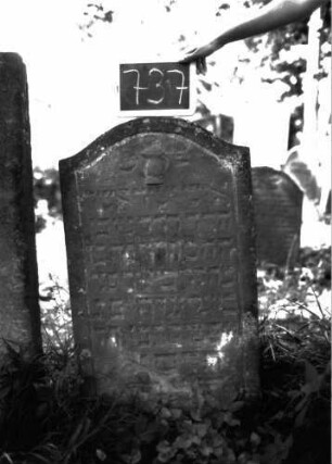 Grabstein 737 (Index: 100104775) Material: Sandstein Zustand: unten verwittert Maße HxBxT: 103x60x11 cm Beschreibung: Stele, Konvexbogenabschluss, Schriftfeld eingetieft, Levitenkanne Symbolik: Levitenkanne: Grabstein 737