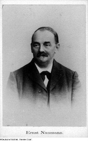 Naumann, Ernst