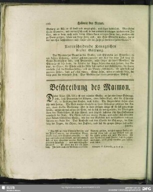 Beschreibung des Maimon