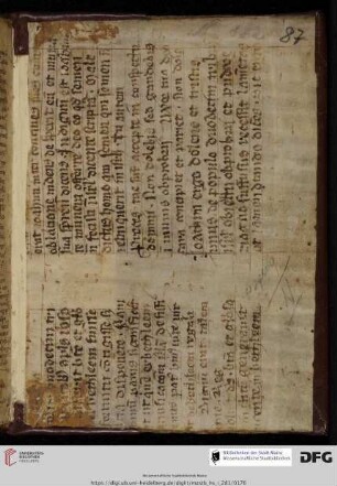 (Perg.) aus einer zweispaltigen liturgischen Hs. des 12./13. Jh.s: hinten Lectiones de s. Joachim