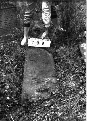 Grabstein 789 (Index: 100099493) Maße HxBxT: 98x42x10 cm Symbolik: Zweige Besonderheit: Kindergrab: Grabstein 789