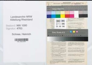 Entnazifizierung Heinrich Schnee, geb. 21.03.1904 (Steuergehilfe)