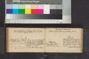 Mair, Johann Michael; Blatt 297