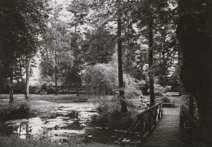 Berggießhübel. Schloss Friedrichsthal, Park