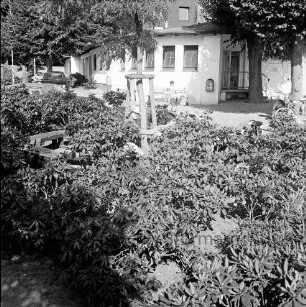 Jugendherberge Bad Oldesloe: vorne Rhododendronbüsche und eine Sitzbank, mittige Personen, links parkende Pkw, im Hintergrund die Jugendherberge